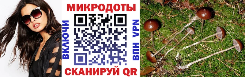 Псилоцибиновые грибы мицелий Знаменск